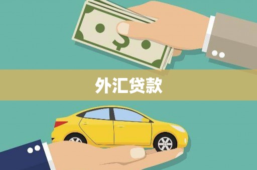 咸宁外汇贷款