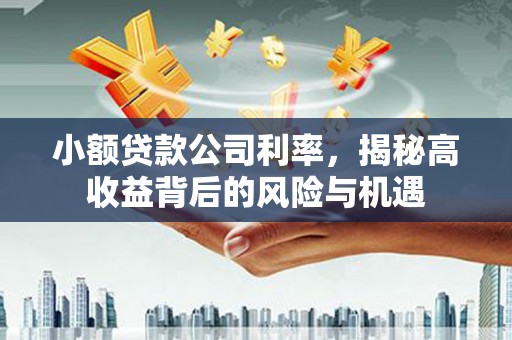 咸宁小额贷款公司利率，揭秘高收益背后的风险与机遇