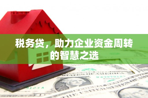 咸宁税务贷，助力企业资金周转的智慧之选