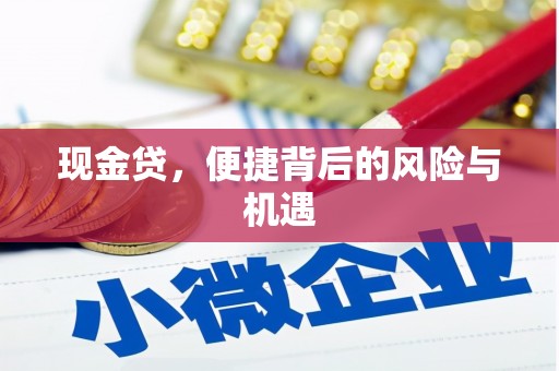 咸宁现金贷，便捷背后的风险与机遇