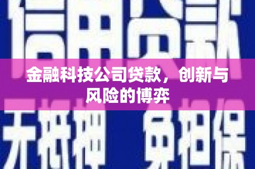 咸宁金融科技公司贷款，创新与风险的博弈