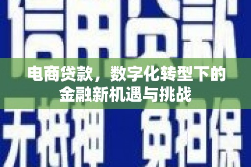 咸宁电商贷款，数字化转型下的金融新机遇与挑战