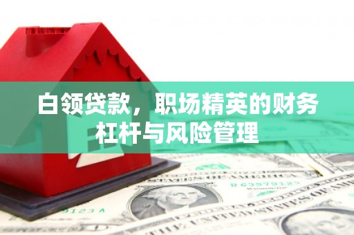 咸宁白领贷款，职场精英的财务杠杆与风险管理