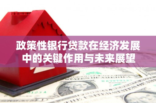 咸宁政策性银行贷款在经济发展中的关键作用与未来展望