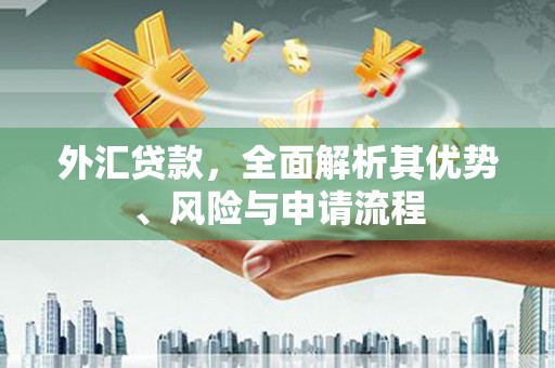 咸宁外汇贷款，全面解析其优势、风险与申请流程