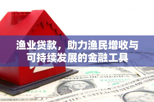 咸宁渔业贷款，助力渔民增收与可持续发展的金融工具