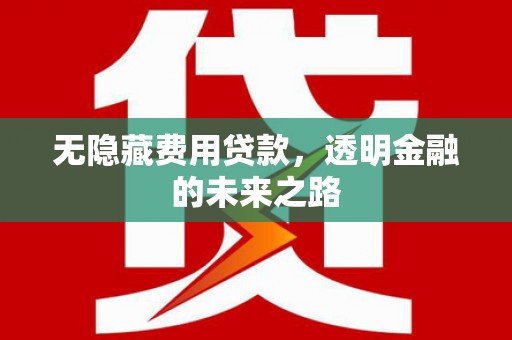 咸宁无隐藏费用贷款，透明金融的未来之路