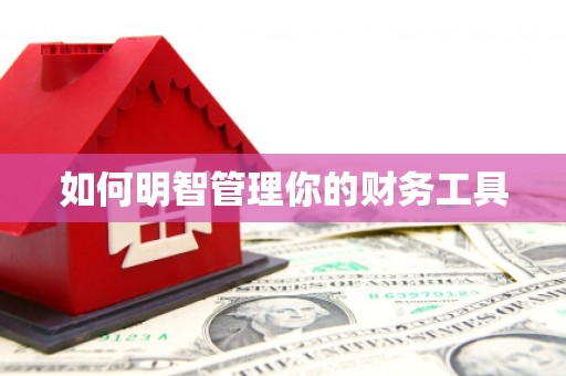 咸宁如何明智管理你的财务工具