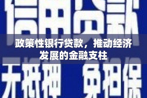咸宁政策性银行贷款，推动经济发展的金融支柱