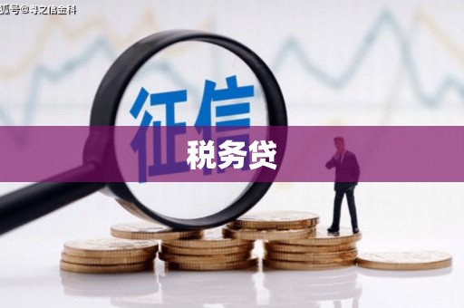 咸宁税务贷