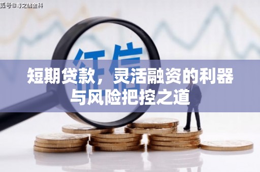 咸宁短期贷款，灵活融资的利器与风险把控之道