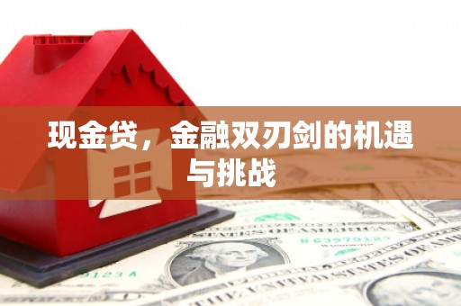 咸宁现金贷，金融双刃剑的机遇与挑战