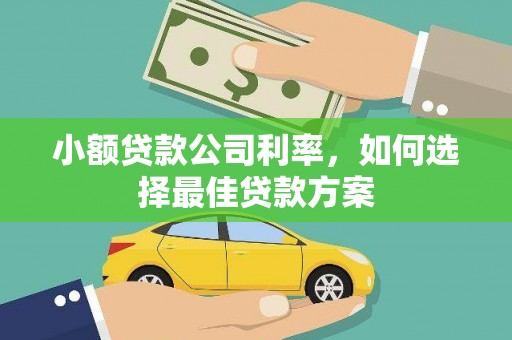 咸宁小额贷款公司利率，如何选择最佳贷款方案
