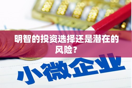 咸宁明智的投资选择还是潜在的风险？
