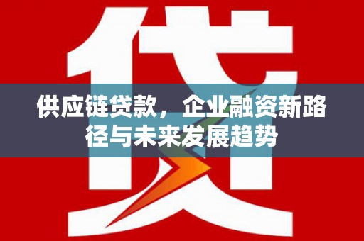 咸宁供应链贷款，企业融资新路径与未来发展趋势