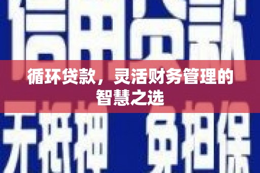 咸宁循环贷款，灵活财务管理的智慧之选