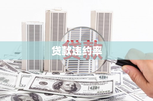 咸宁贷款违约率