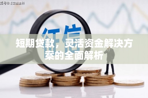 咸宁短期贷款，灵活资金解决方案的全面解析