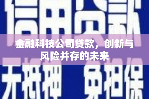 咸宁金融科技公司贷款，创新与风险并存的未来