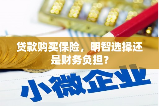 咸宁贷款购买保险，明智选择还是财务负担？