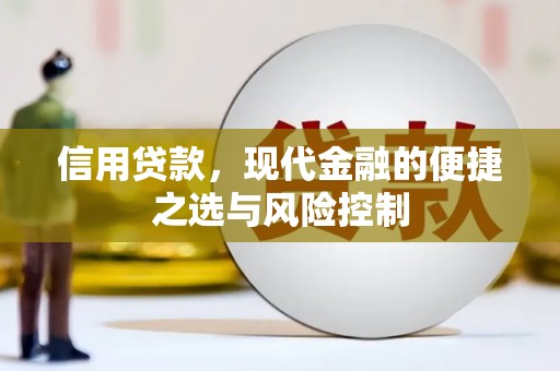 咸宁信用贷款，现代金融的便捷之选与风险控制
