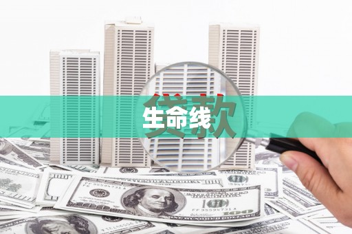 咸宁生命线