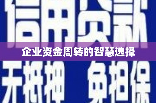 咸宁企业资金周转的智慧选择