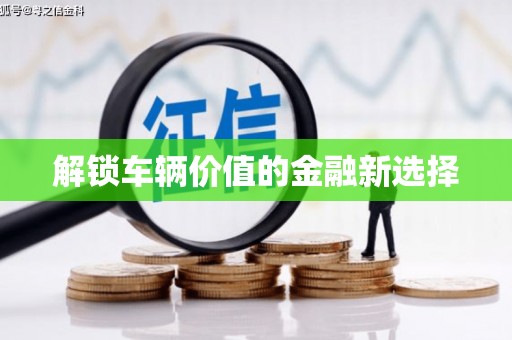咸宁解锁车辆价值的金融新选择