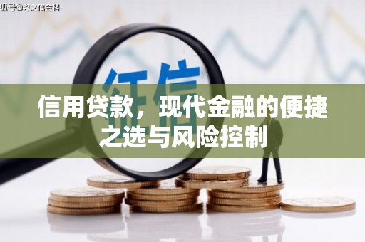 咸宁信用贷款，现代金融的便捷之选与风险控制