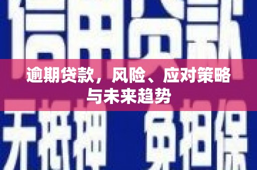咸宁逾期贷款，风险、应对策略与未来趋势
