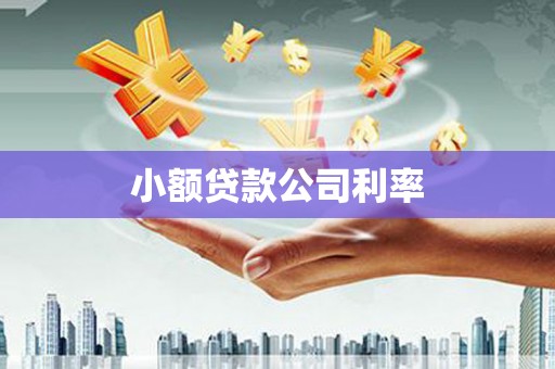 咸宁小额贷款公司利率