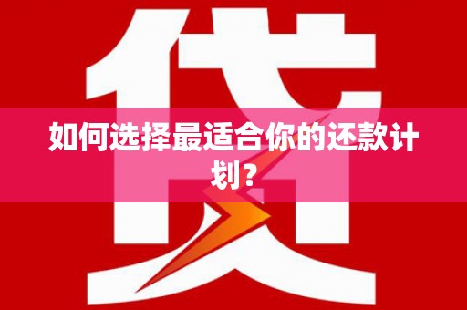咸宁如何选择最适合你的还款计划？