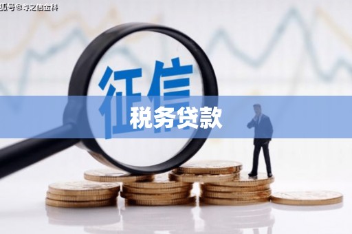 咸宁税务贷款