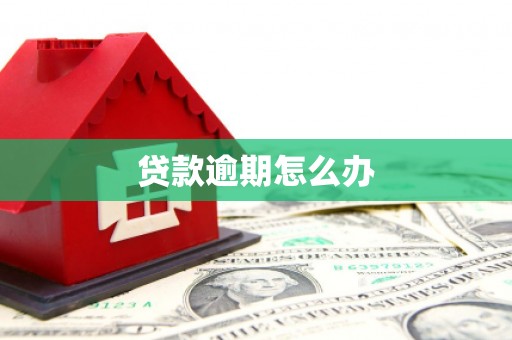 咸宁贷款逾期怎么办