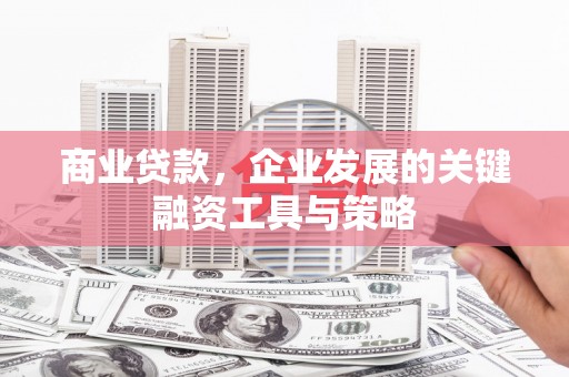咸宁商业贷款，企业发展的关键融资工具与策略
