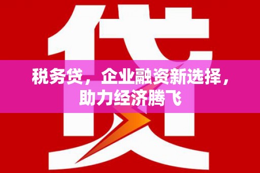 咸宁税务贷，企业融资新选择，助力经济腾飞
