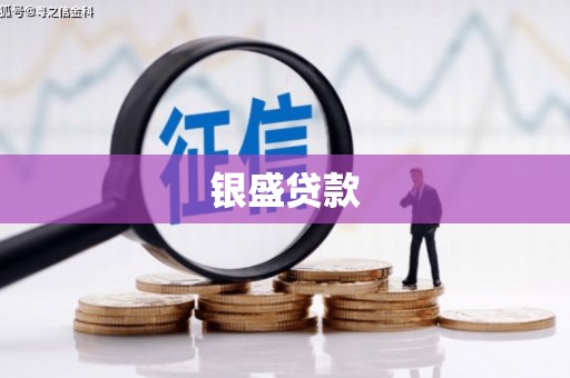 咸宁银盛贷款