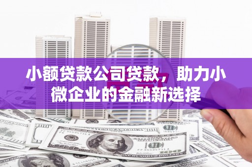 咸宁小额贷款公司贷款，助力小微企业的金融新选择