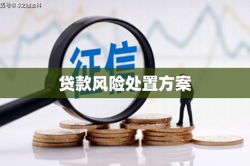 咸宁贷款风险处置方案