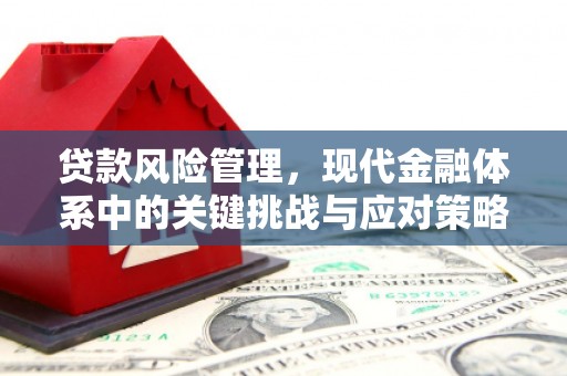 咸宁贷款风险管理，现代金融体系中的关键挑战与应对策略