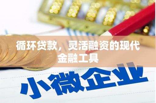 咸宁循环贷款，灵活融资的现代金融工具