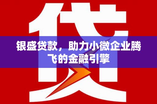 咸宁银盛贷款，助力小微企业腾飞的金融引擎