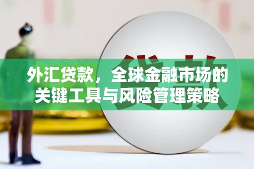 咸宁外汇贷款，全球金融市场的关键工具与风险管理策略