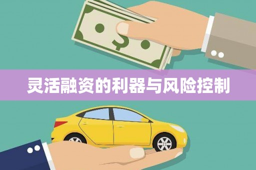 咸宁灵活融资的利器与风险控制