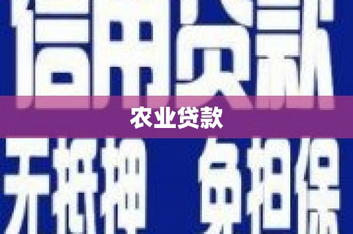 咸宁农业贷款