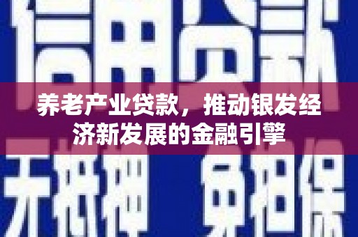 咸宁养老产业贷款，推动银发经济新发展的金融引擎