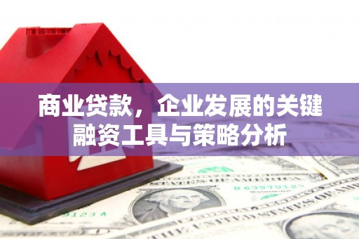 咸宁商业贷款，企业发展的关键融资工具与策略分析