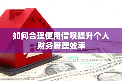 咸宁如何合理使用借呗提升个人财务管理效率