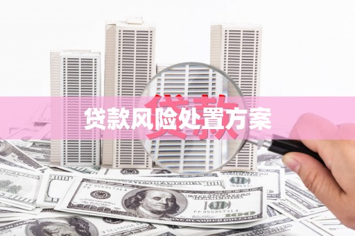 咸宁贷款风险处置方案