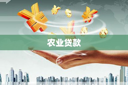 咸宁农业贷款